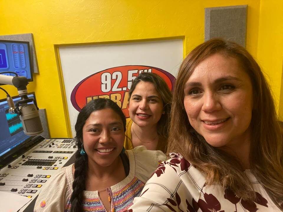 las suculentas